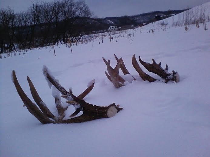 To a Shed Hunting Ethic