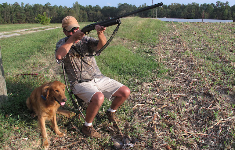 How To Hit More Dove This Fall – A Few Tips