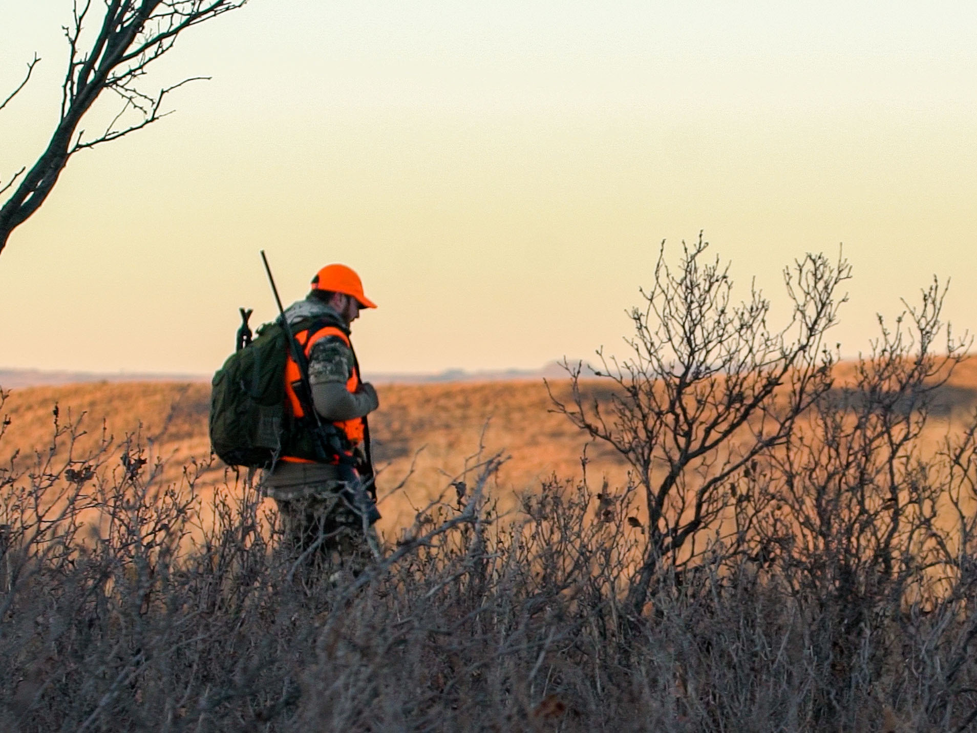 What Triggers the Rut? Winchester Ammunition