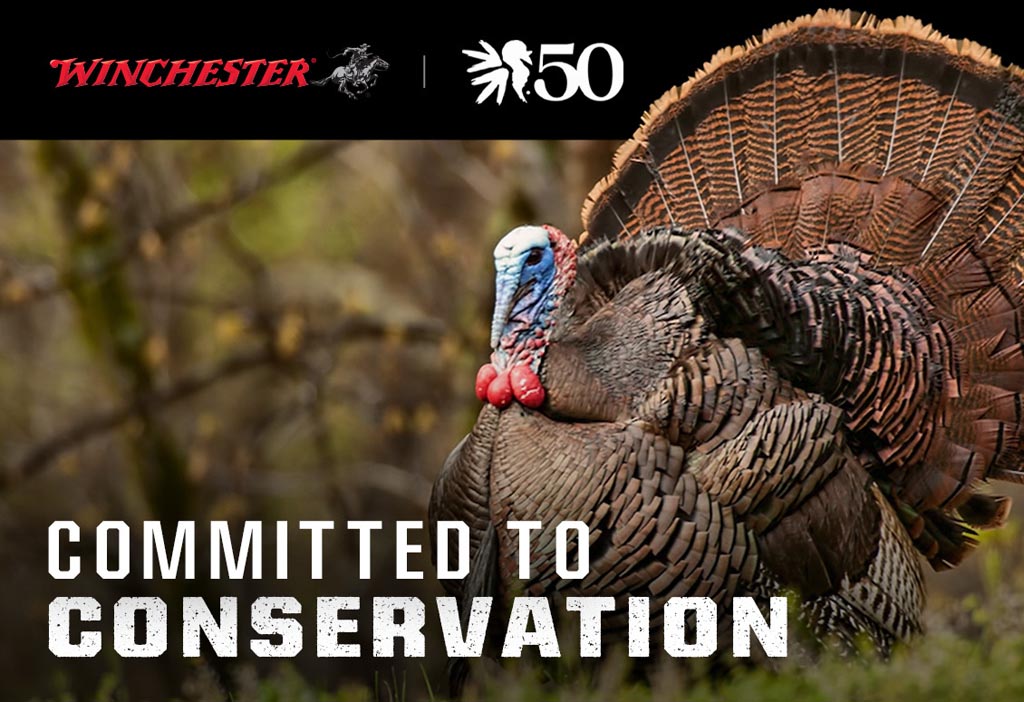 Winchester Committed to Conservation Celebrating the NWTF 50th