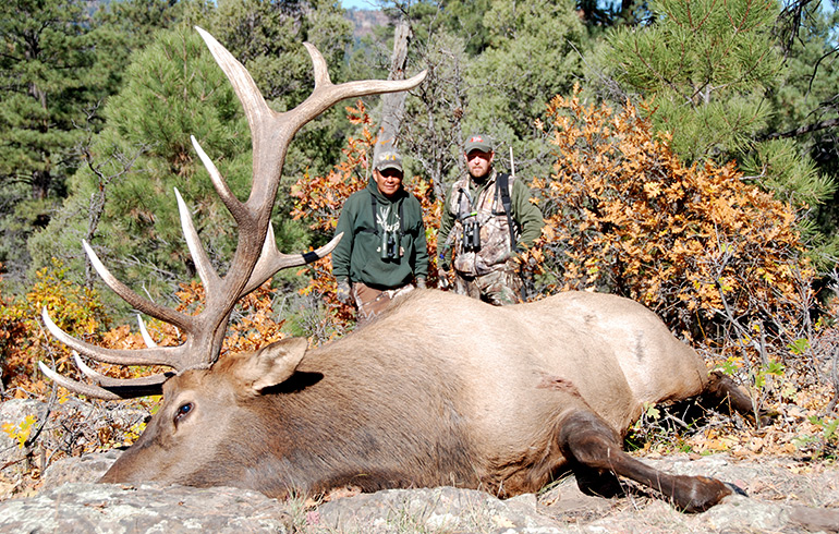 Elk – North America’s Most Majestic Game