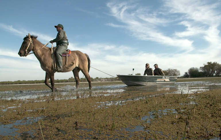 Duck Hunting – Argentina Style