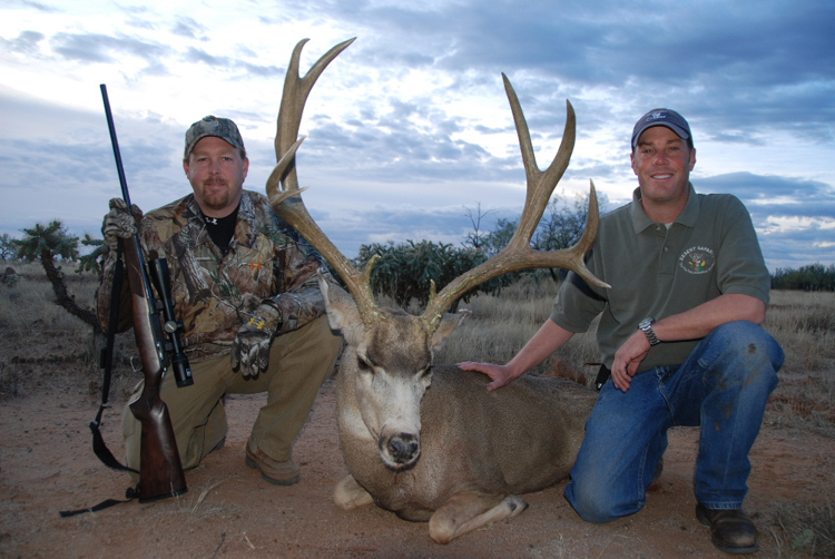 Getting Up Close And Personal With Mule Deer