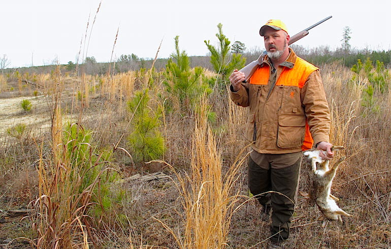 How To Hunt Rabbits Without Dogs