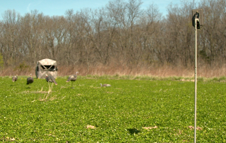 Turkey Scouting Tips – Think Whitetail