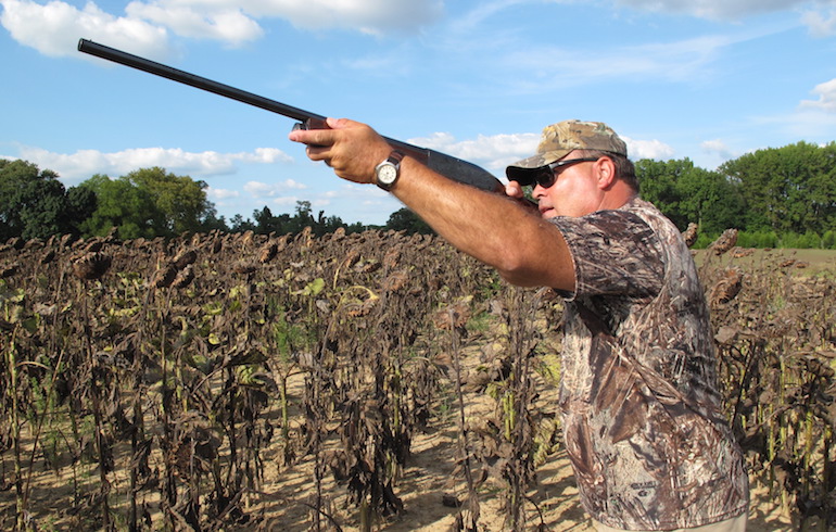 Dove Season is Here: Let Your Fall Season Take Wing!