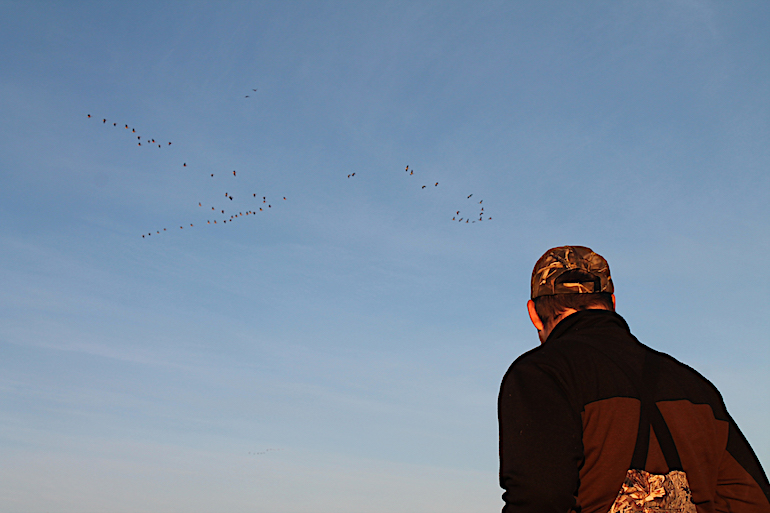 Early Goose Season Tips