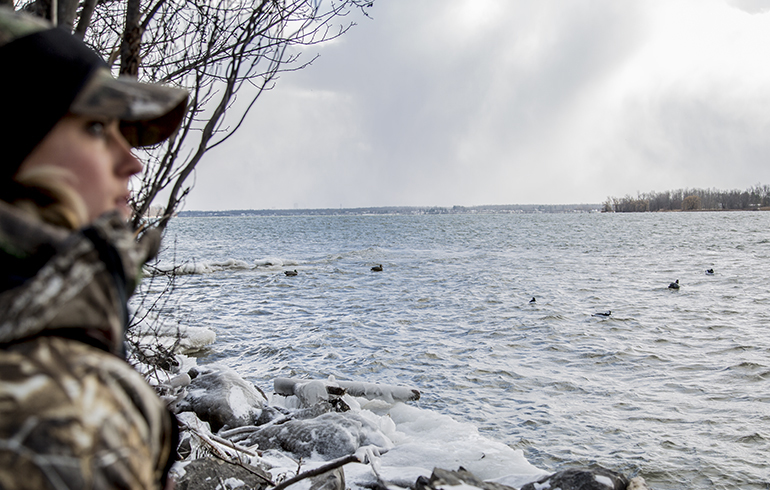 Tips to Help ID Waterfowl on the Wing