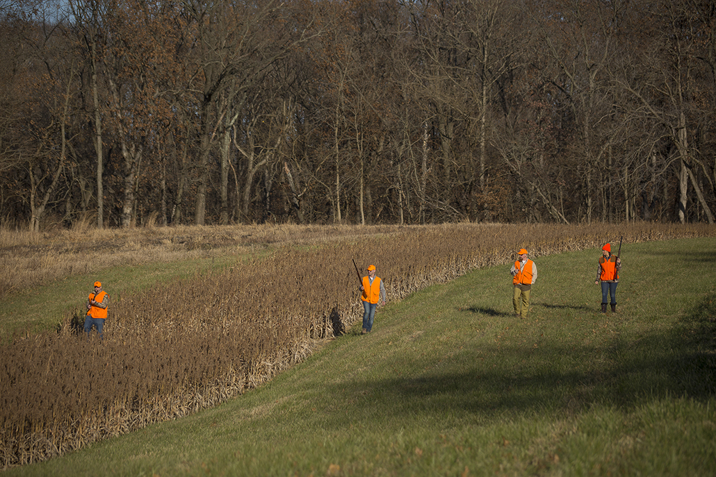 Pheasant Hunt