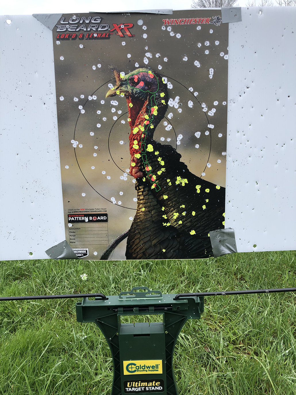 Turkey Hunting