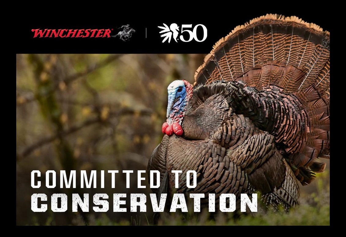 Winchester: Committed to Conservation