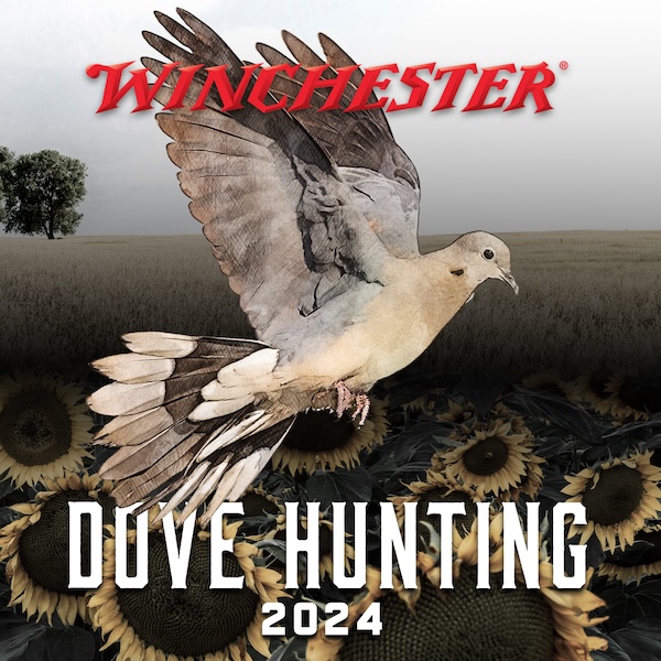 Prep for Dove Season with Winchester