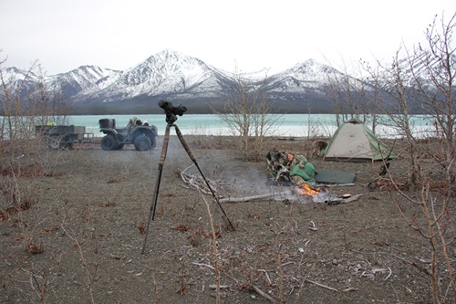 Bear hunting in Alaska