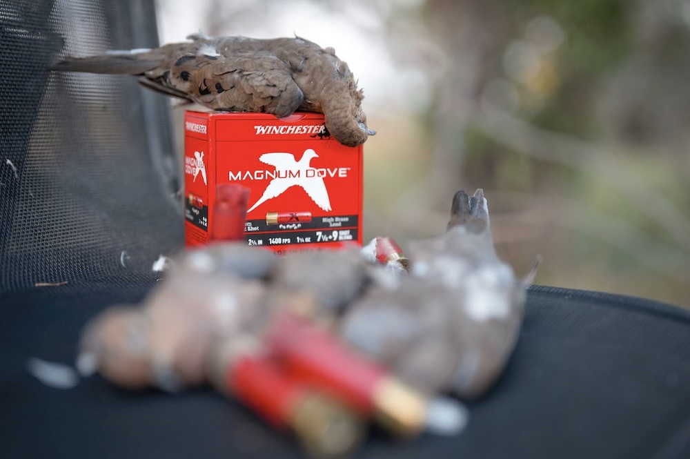 Winchester Magnum Dove: The Hottest Dove Load this Season