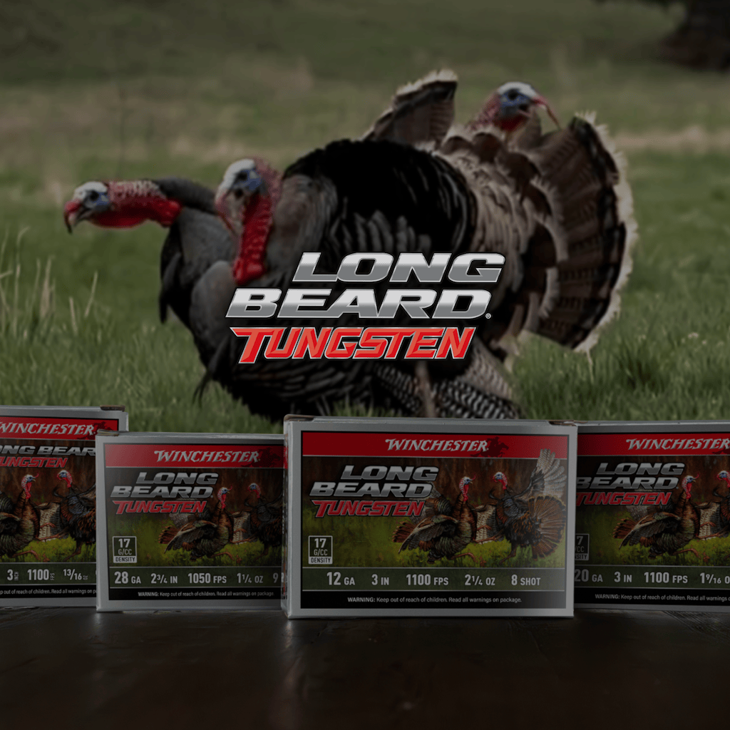 Long Beard Tungsten with ammo boxes