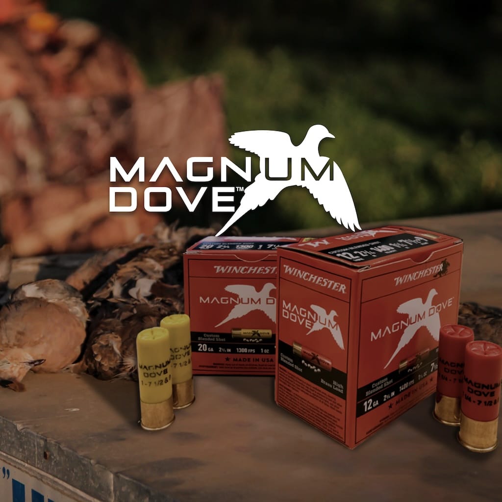 Magnum Dove ammunition box, 12 gauge and 20 gauge shells sitting on a wooden table