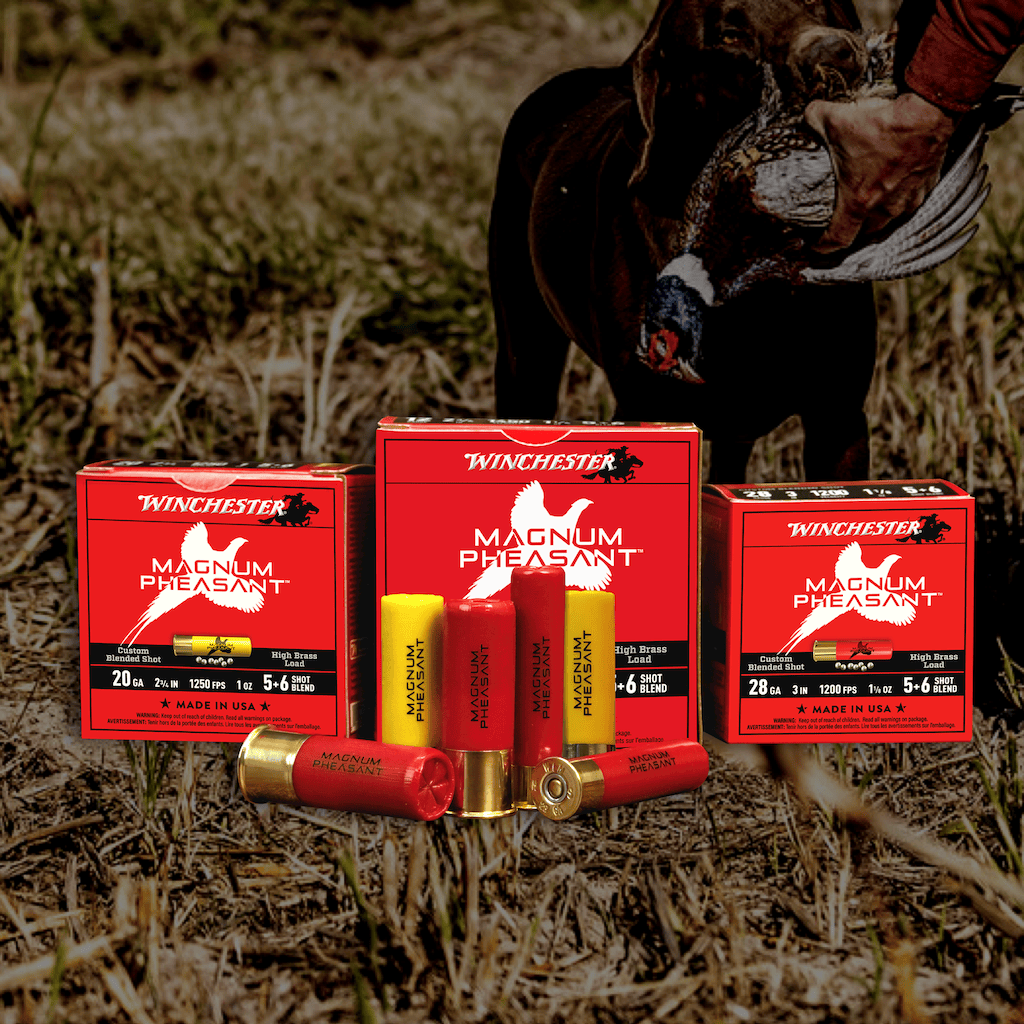 Magnum Pheasant ammunition and boxes