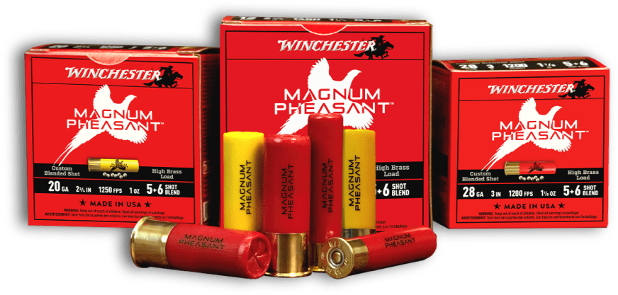 Winchester Magnum Pheasant ammunition boxes and shells