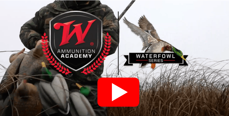 Episode 1: Welcome to Winchester Waterfowl Ammo Advantage