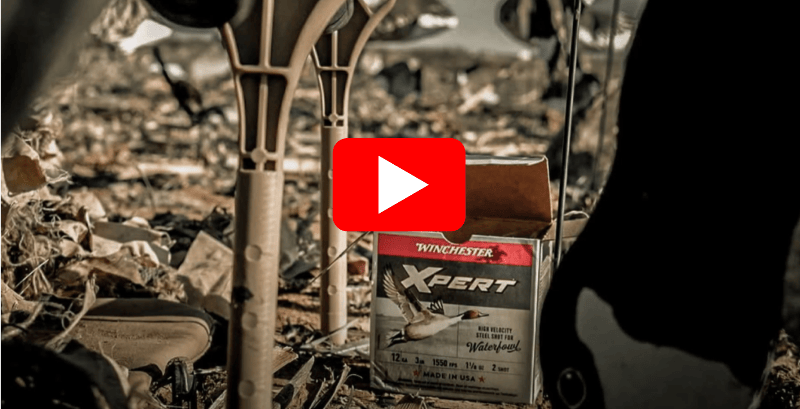 Episode 2: Xpert Steel #2 – Value Built for Results