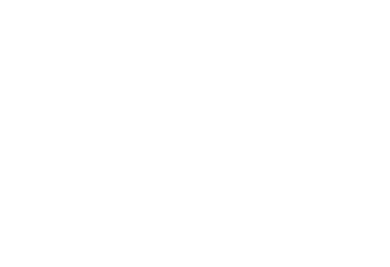 Magnum Pheasant logo